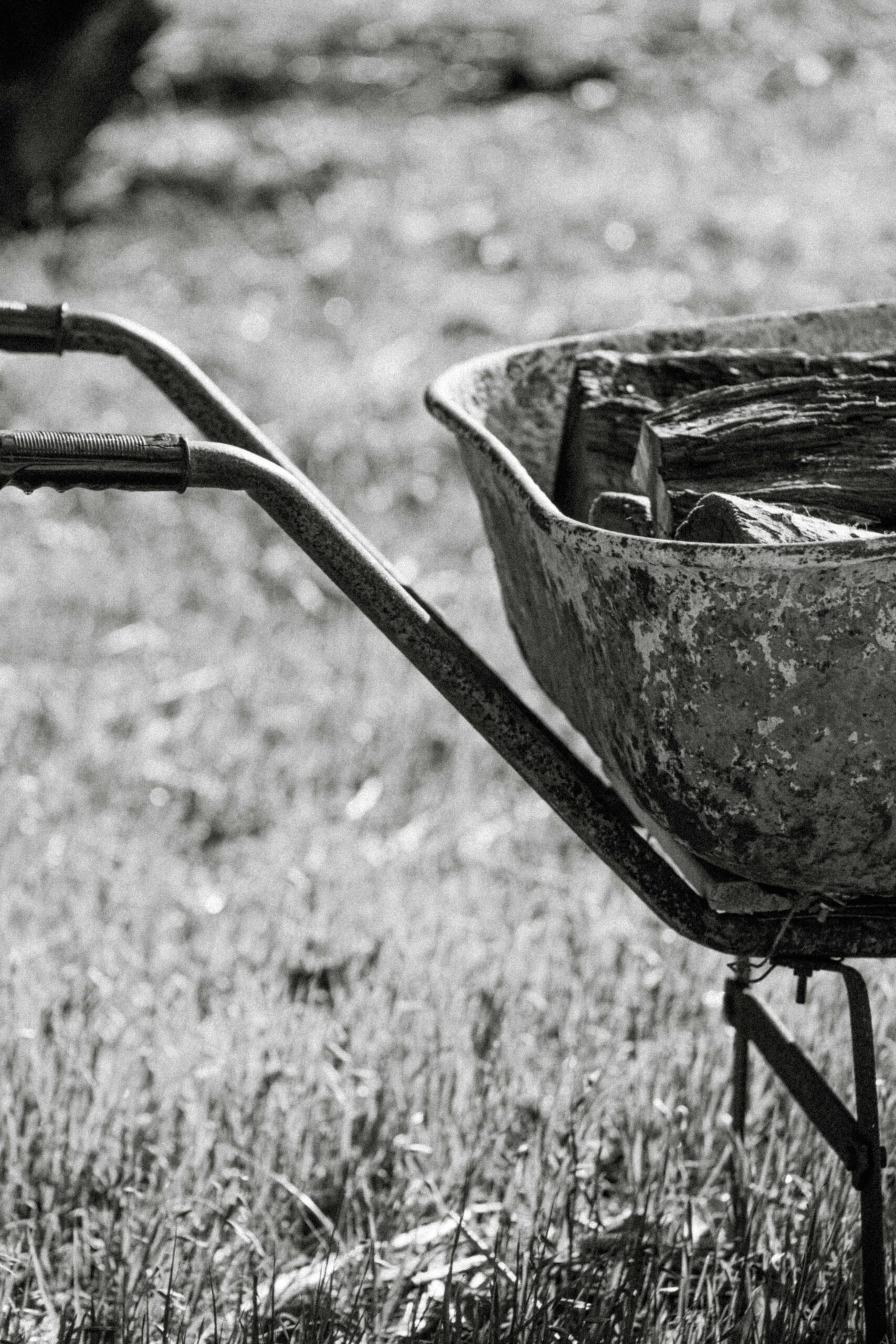 A monochrome close-up of a rusty wheelbarrow in a grassy field, evoking vintage gardening themes.